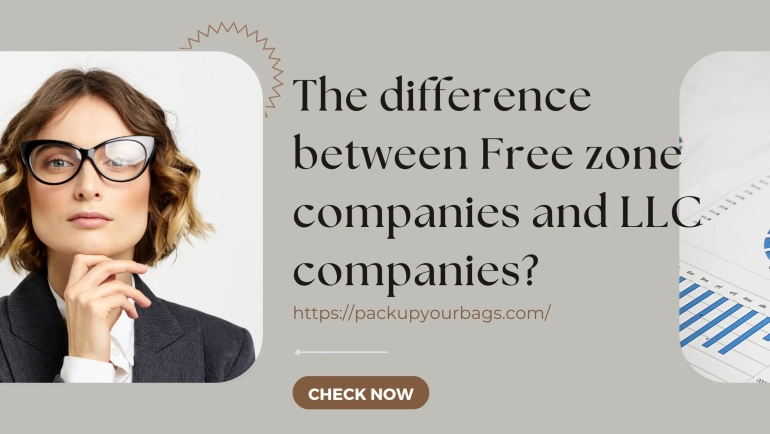 What is the difference between Free zone companies and LLC companies