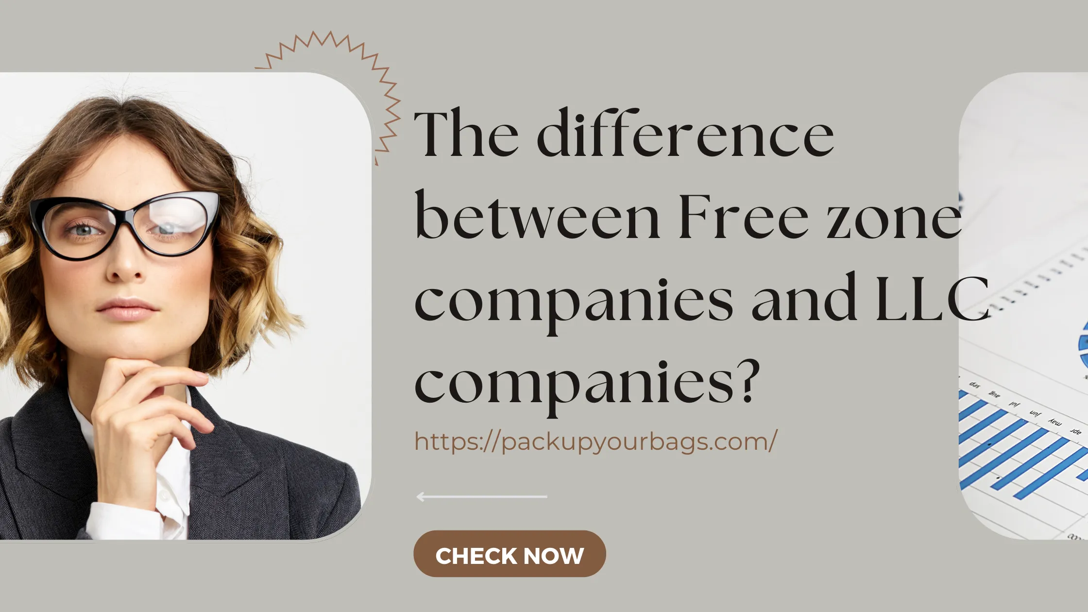 What is the difference between Free zone companies and LLC companies