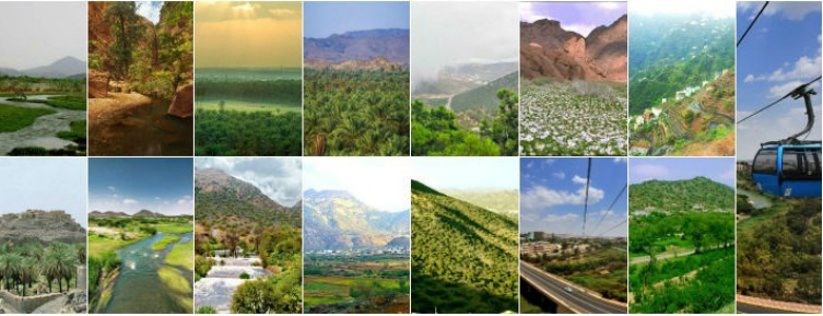 Discovering Saudi Arabia: Different States of the Kingdom