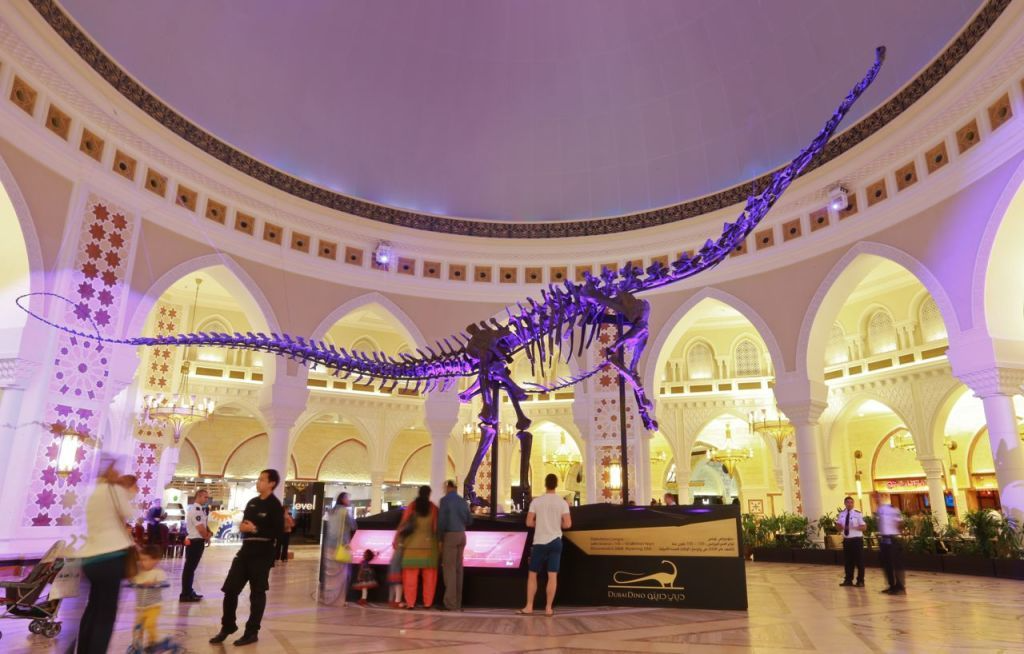 Dubai Mall Dinosaur Skeleton 