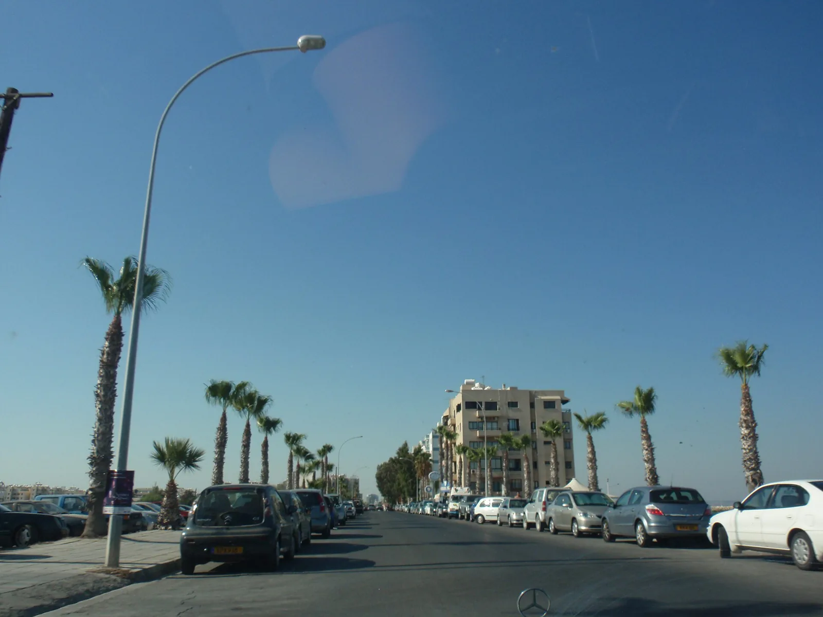 Road and palm trees near Mackenzie in Larnaca