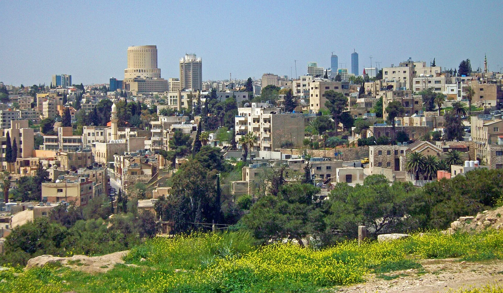 Amman city buildings viewed from Citadel Hill