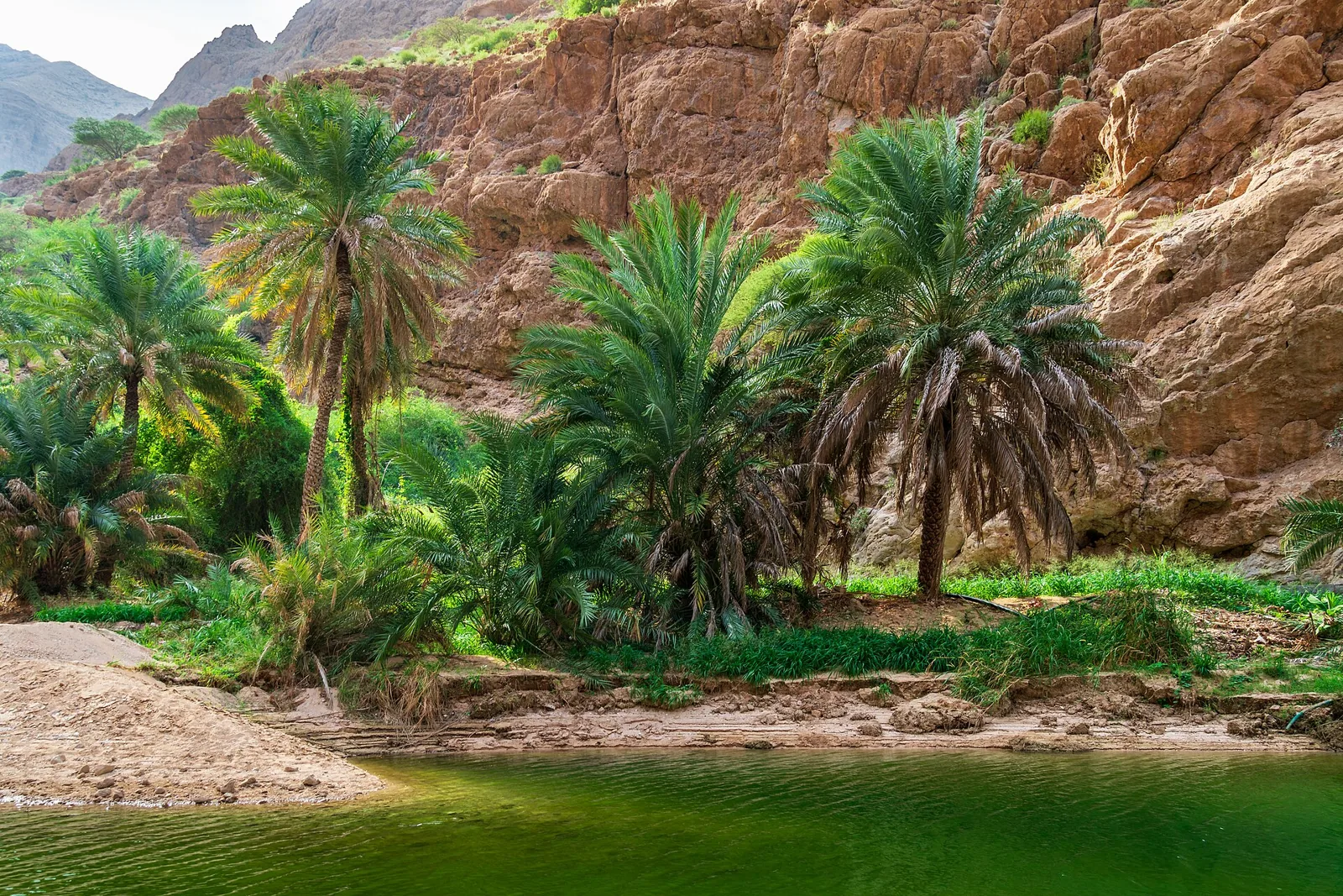 Palms, rock walls and water at Wadi Shab in Oman